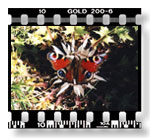 (foto Juraj Dl�bik)